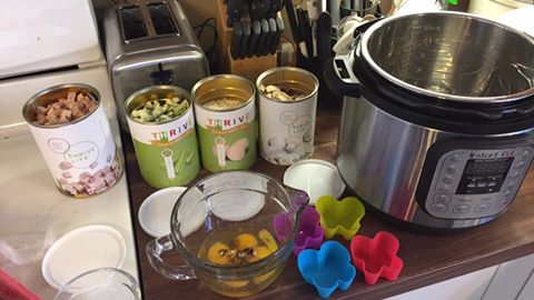 Food Manufacturer «THRIVE Life», reviews and photos, 691 S Auto Mall Dr, American Fork, UT 84003, USA