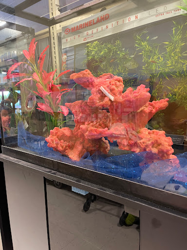 Pet Supply Store «PetSmart», reviews and photos, 8215 Laguna Blvd, Elk Grove, CA 95758, USA