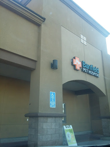 Pet Supply Store «PetSmart», reviews and photos, 2140 17th St, Santa Ana, CA 92705, USA