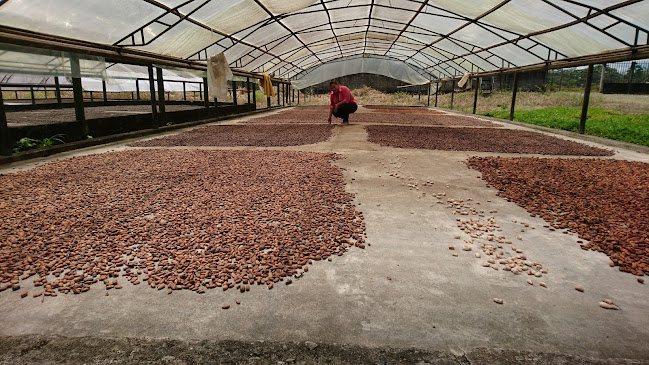 Asociación De Productores De Cacao San Carlos - Centro comercial