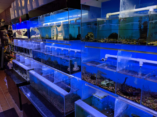 Tropical Fish Store «Atlantis Fish Shoppe», reviews and photos, 610 W 14 Mile Rd, Clawson, MI 48017, USA