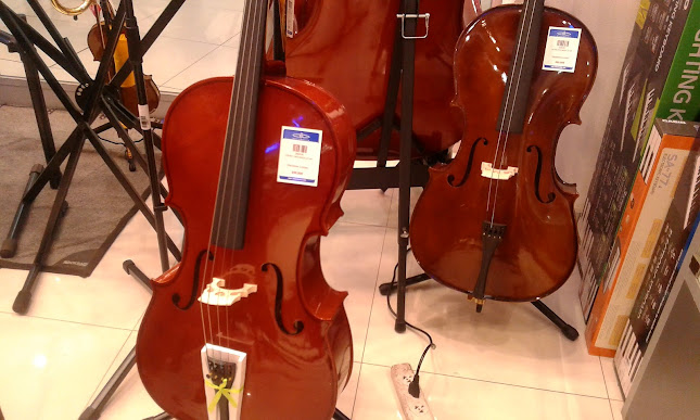 Audiomusica - Tienda de instrumentos musicales