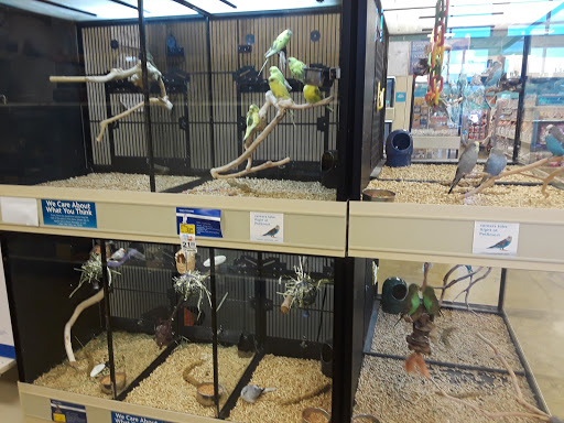 Pet Supply Store «PetSmart», reviews and photos, 1345 Wendy Ct, Spring Hill, FL 34607, USA