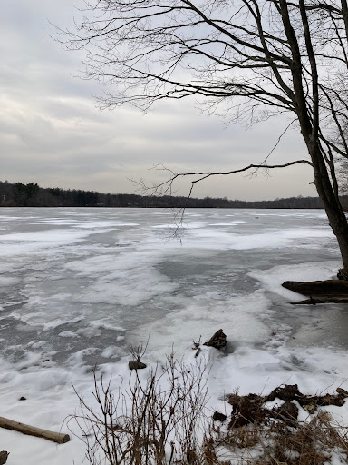 Nature Preserve «Franklin Lakes Nature Preserve», reviews and photos, 1 Nature Preserve Way, Franklin Lakes, NJ 07417, USA