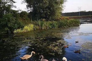 Castlelake Walk image