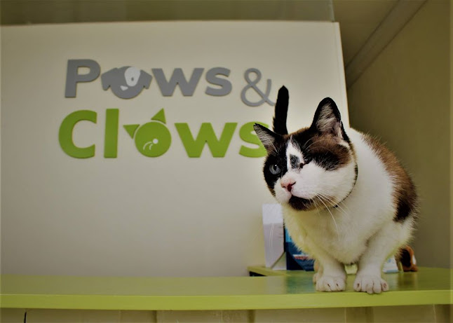 Paws & Claws - Clínica Veterinária - Veterinário