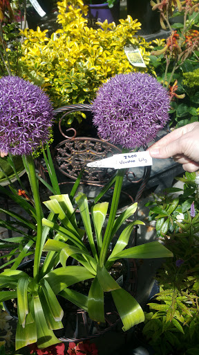 General Contractor «Laurel Bay Gardens Inc», reviews and photos, 88493 US-101, Florence, OR 97439, USA