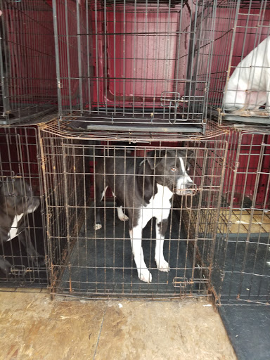 Pet Supply Store «PetSmart», reviews and photos, 1285 Johnson Ferry Rd, Marietta, GA 30068, USA