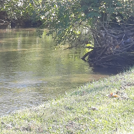 Park «A.B. Sawyer Park», reviews and photos, 9300 Whipps Mill Rd, Louisville, KY 40242, USA