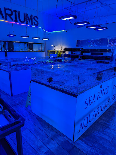 Pet Store «Sea King Aquariums», reviews and photos, 12005 NE 12th St #29, Bellevue, WA 98005, USA