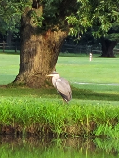 Country Club «Ramblewood Country Club», reviews and photos, 200 Country Club Pkwy, Mt Laurel, NJ 08054, USA