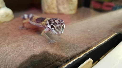 Pet Supply Store «PetSmart», reviews and photos, 7340 W 191st St, Tinley Park, IL 60487, USA