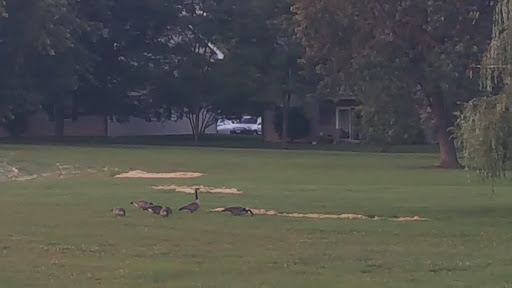 Municipality «Country Lakes Park», reviews and photos, 1835 N Aurora Rd, Naperville, IL 60563, USA