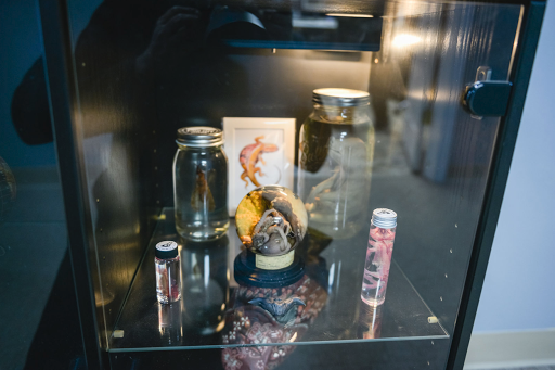 Tattoo Shop «Pinch-N-Poke Tattoo Studio», reviews and photos, 212 N Vesper St, Lock Haven, PA 17745, USA