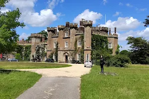 Knepp Castle Estate image