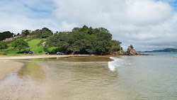 Photo de Wellingtons Bay Beach - endroit populaire parmi les connaisseurs de la détente