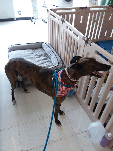 Pet Supply Store «Petco Animal Supplies», reviews and photos, 5961 Warner Ave, Huntington Beach, CA 92649, USA