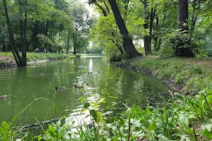 Park im. Władysława Szafera image