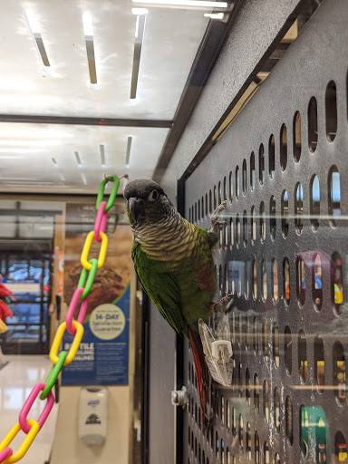 Pet Supply Store «PetSmart», reviews and photos, 8111 Brier Creek Pkwy, Raleigh, NC 27617, USA