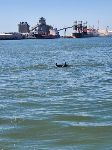 Museum «Texas Seaport Museum», reviews and photos, 2100 Harborside Dr, Galveston, TX 77550, USA
