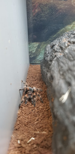 Pet Supply Store «Petco Animal Supplies», reviews and photos, 859 Kings Creek Dr, Tupelo, MS 38804, USA