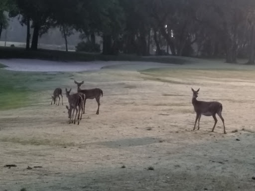 Golf Club «Legacy Club At Alaqua Lakes», reviews and photos, 1700 Alaqua Lakes Blvd, Longwood, FL 32779, USA