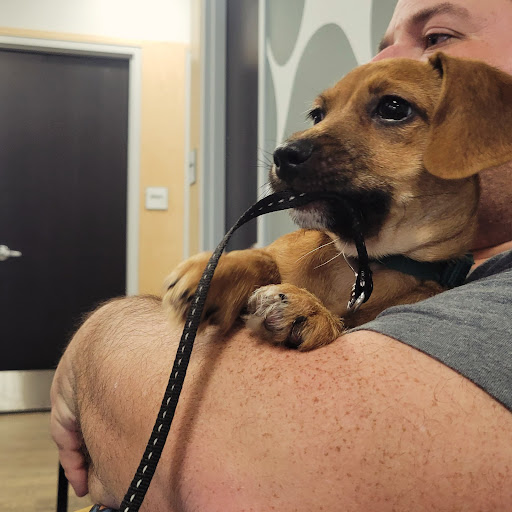 Queen Creek Veterinary Clinic image