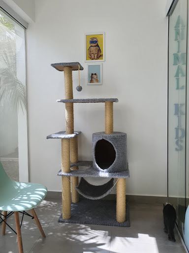 Animaltec - Unid. Campinas em Campinas - SP