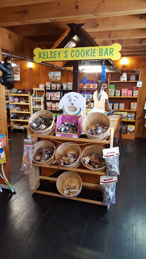 Pet Store «Living Pawsitively», reviews and photos, 39 NJ-15, Lafayette Township, NJ 07848, USA