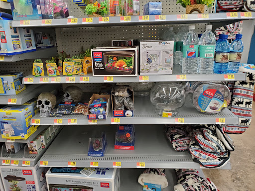 Department Store «Walmart Supercenter», reviews and photos, 1310 Preacher Roe Blvd, West Plains, MO 65775, USA