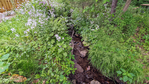 Nature Preserve «Gummere Woods And Marsters Preserve Trail», reviews and photos, 4 Wheeler Rd, North Grafton, MA 01536, USA