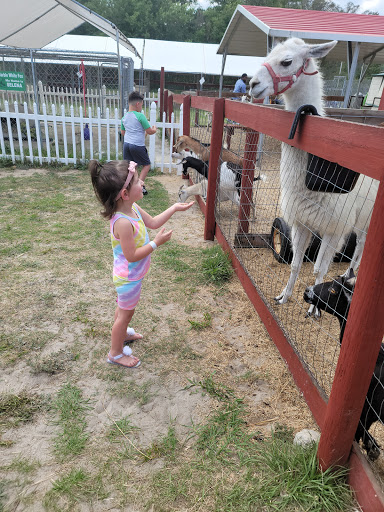 Zoo «Petting zoo Ocala», reviews and photos, 11150 FL-40, Ocala, FL 34482, USA