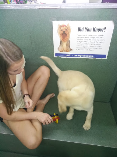 Pet Store «Petland Montgomery», reviews and photos, 7127 Eastchase Pkwy, Montgomery, AL 36117, USA