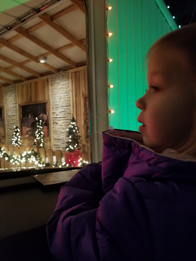 Tourist Attraction «Chads Winter Wonderland», reviews and photos, 791 Old Laguardo Rd E, Lebanon, TN 37087, USA