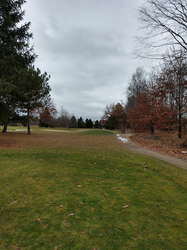 Golf Course «Hawk Meadows Golf Course», reviews and photos, 410 E Marr Rd, Howell, MI 48855, USA