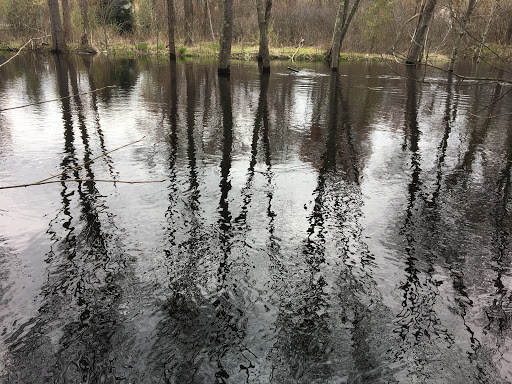 Park «Ipswich River Park», reviews and photos, 15 Central St, North Reading, MA 01864, USA
