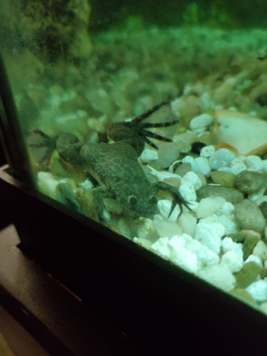 Pet Store «Pet Zone», reviews and photos, 1620 Marion-Mt Gilead Rd, Marion, OH 43302, USA