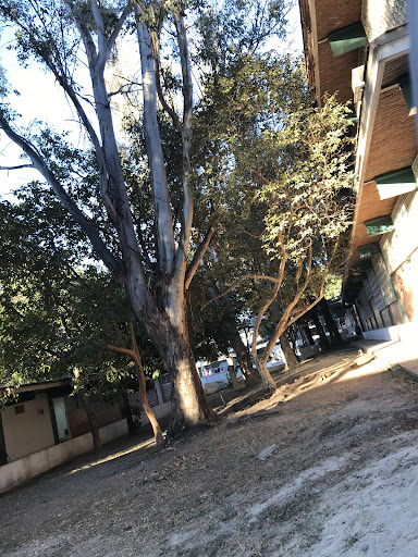 Escuela secundaria Zapopan