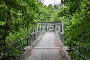 Moore Park Ravine image