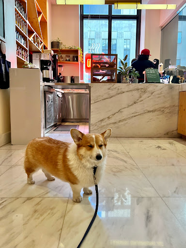 Coffee Shop «Weekend Coffee», reviews and photos, 1511 Commerce St, Dallas, TX 75201, USA