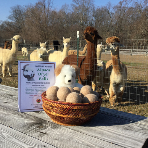 Farm «Painted Sky Alpaca Farm & Fiber Mill», reviews and photos, 95 Knight House Ln, Earleville, MD 21919, USA