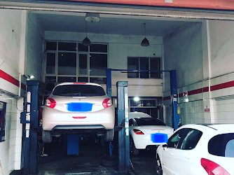 BURHAN OTO Peugeot-Citroen Özel Servis