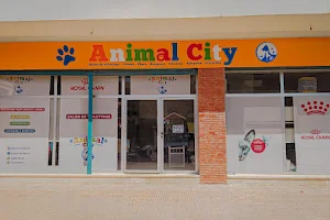 Animal city Agadir Animalerie shop image