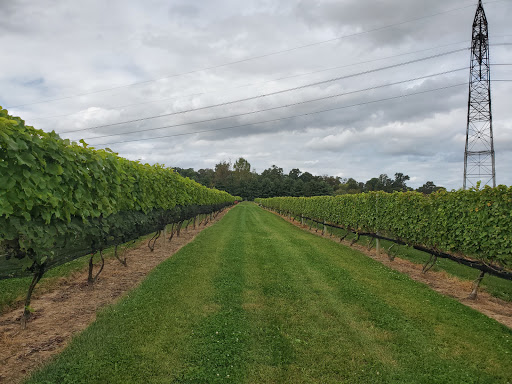 Winery «Beneduce Vineyards», reviews and photos, 1 Jeremiah Ln, Pittstown, NJ 08867, USA