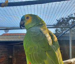 Polokwane Snake & Reptile Park photo