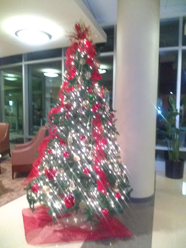 Department Store «T.J. Maxx», reviews and photos, 5883 Spout Springs Rd, Flowery Branch, GA 30542, USA