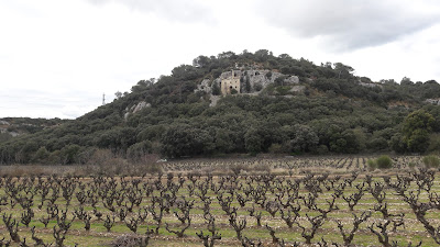 Domaine Brice Beaumont à Lirac