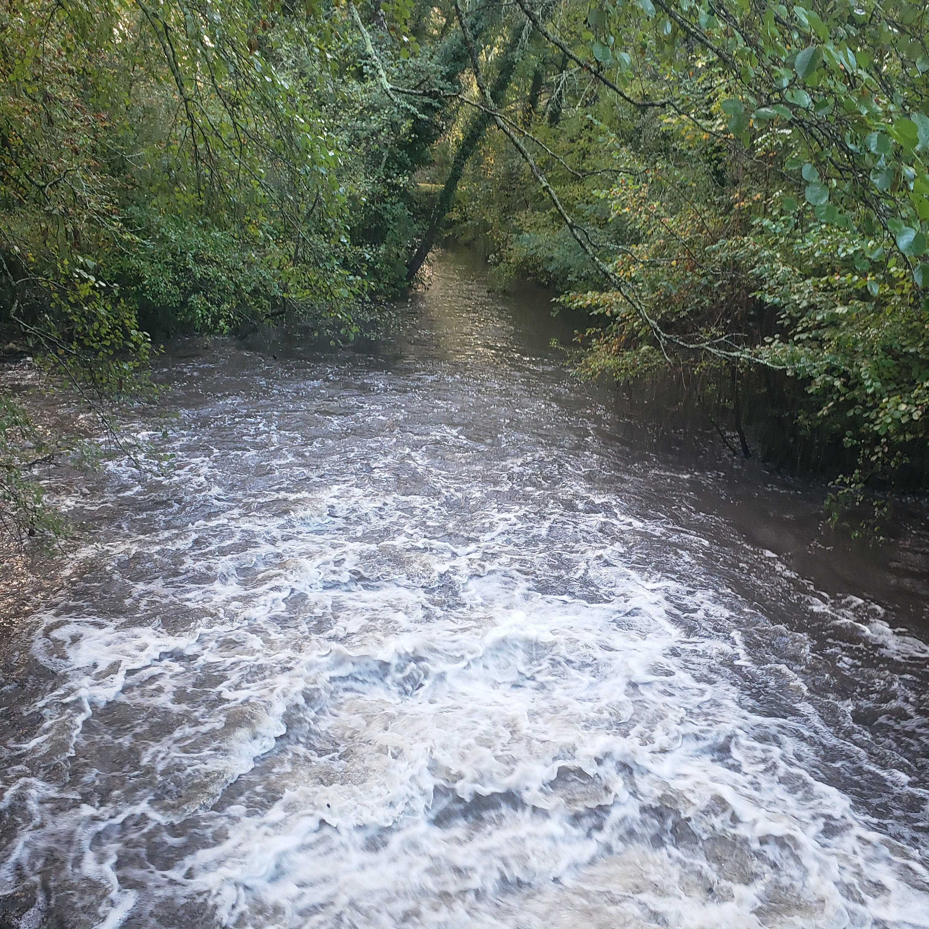 Photo n° 10 de l'avis de serge.t fait le 31/10/2023 à 17:01