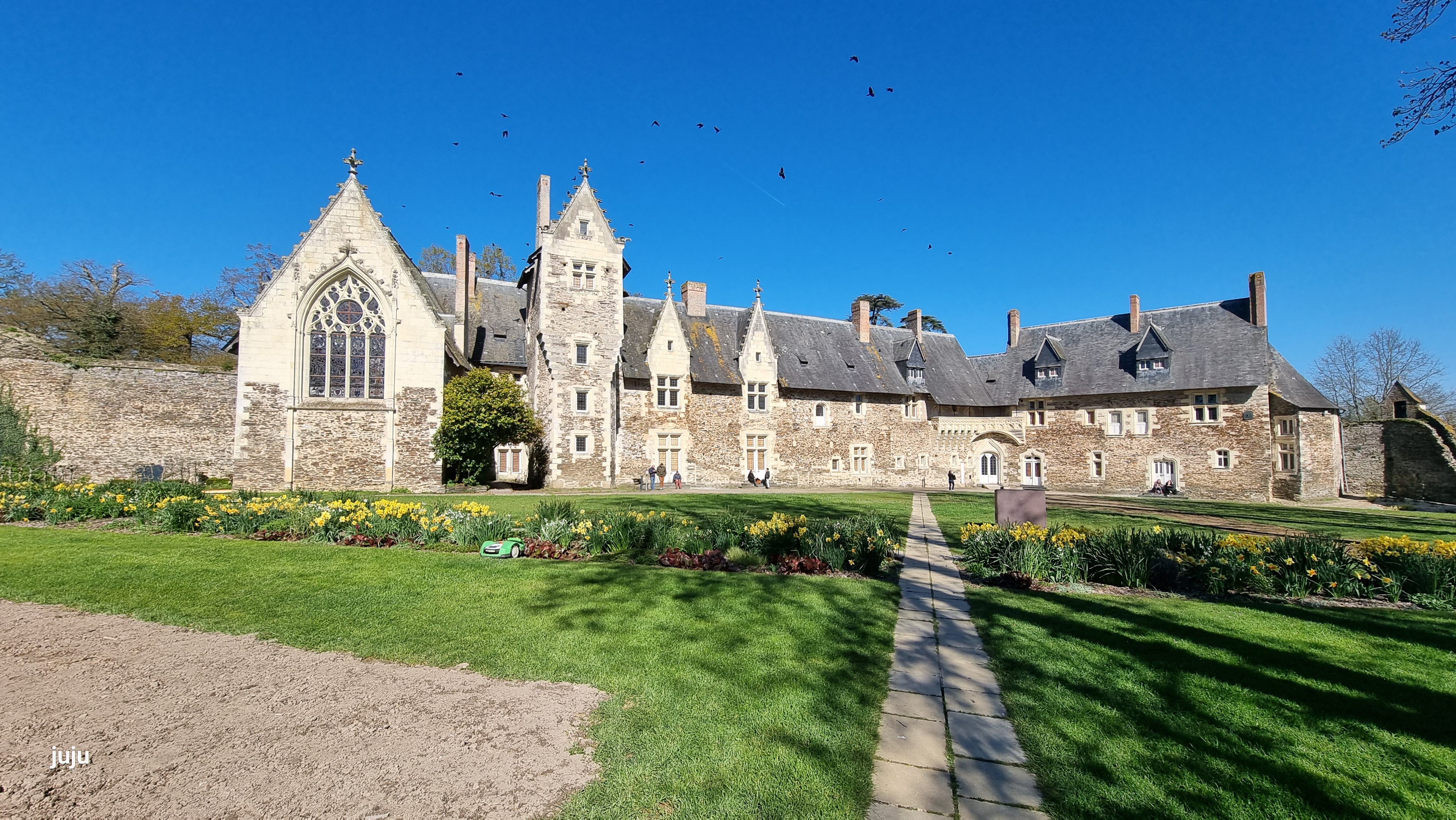 Photo n° 11 de l'avis de Juju.. fait le 28/04/2023 à 08:20