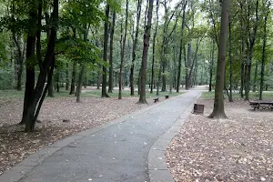 Park forest Zvezdara image